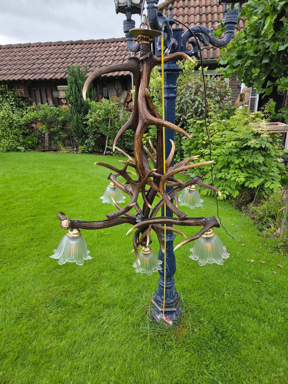 Unieke Geweik Kroonluchter - Rustieke Verlichting, Ophalen, Rustiek, Landelijk, Jachtstijl, E14 (klein), Glas