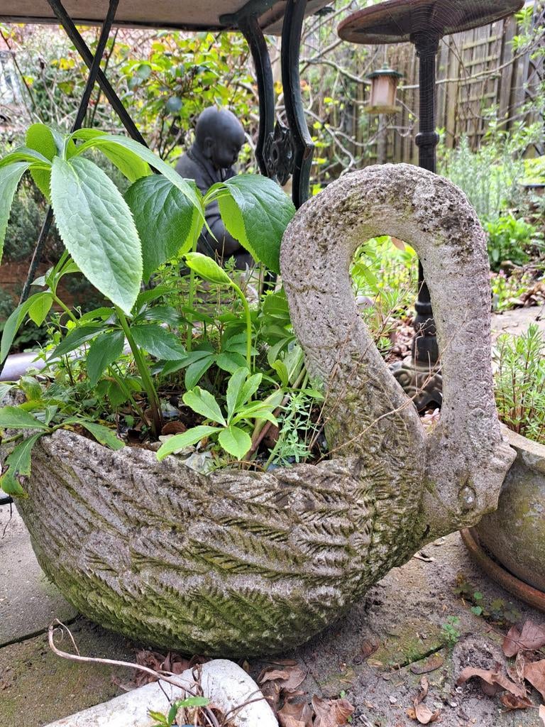 Brocante beton zwaan bloempot plantenbak, Ophalen