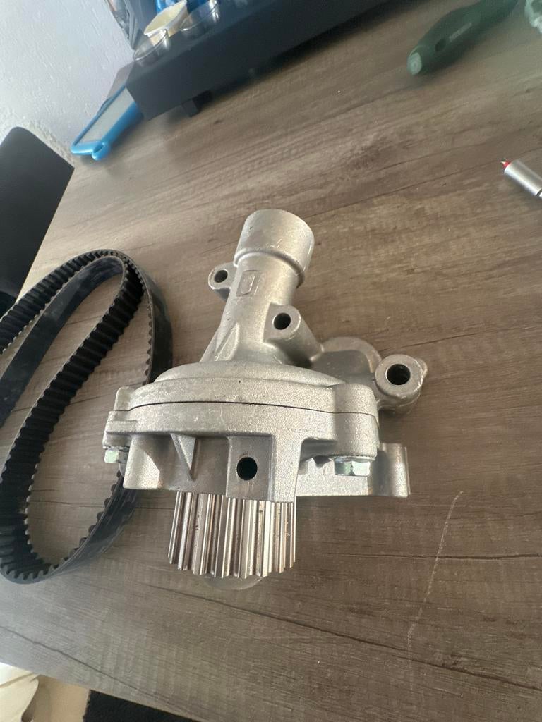 Waterpomp met distributieriem Vw 1.6 8v, Auto-onderdelen, Motor en Toebehoren, Nieuw, Ophalen