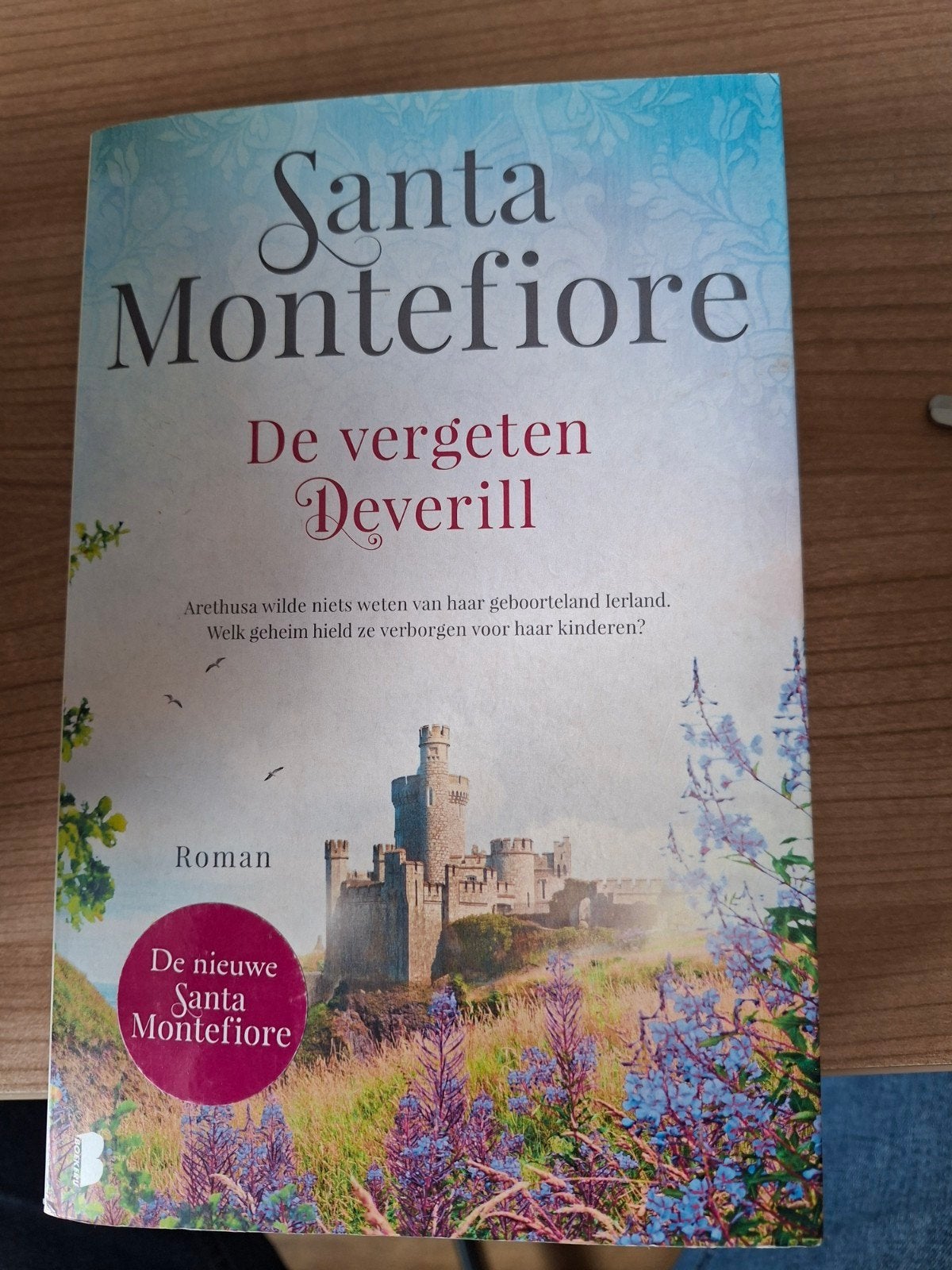 De vergeten Deverill - Santa Montefiore Roman, Boeken, Ophalen of Verzenden, Zo goed als nieuw, Santa Montefiore, Europa overig