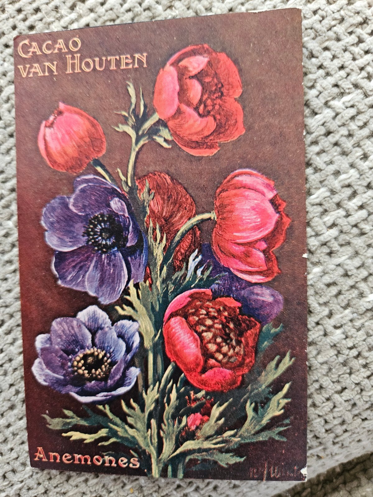 Cacao van Houten - Anemonen reclame, Ophalen of Verzenden