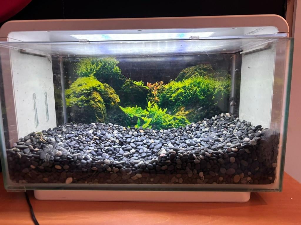 superfish home 25, Dieren en Toebehoren, Vissen | Aquaria en Toebehoren, Ophalen, Zo goed als nieuw, Superfish, Inclusief deksel