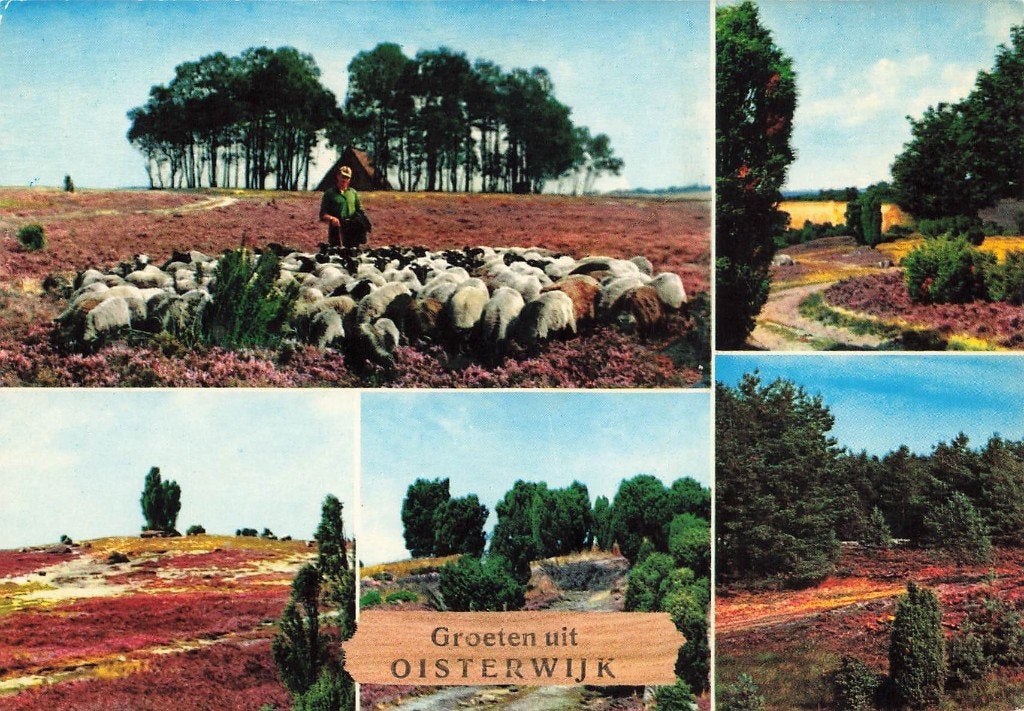 Groeten uit Oisterwijk, Ophalen of Verzenden, 1980 tot heden, Gelopen, Noord-Brabant