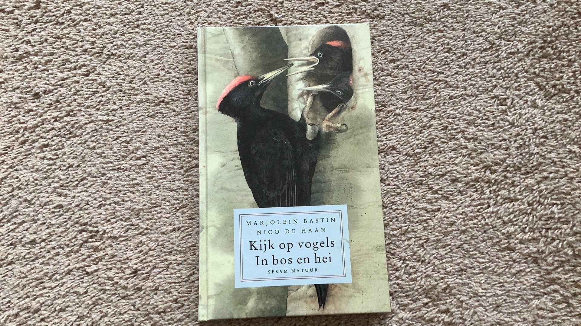 Marjolein Bastin, Serie: Kijk op vogels, In bos en hei, Boeken, Natuur, Ophalen of Verzenden, Zo goed als nieuw, N. de Haan; Marjolein Bastin
