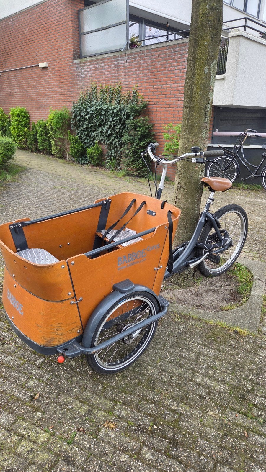 Babboe Curve Bakfiets, Fietsen en Brommers, Fietsen | Bakfietsen, Ophalen, Gebruikt, 4 kinderen of meer