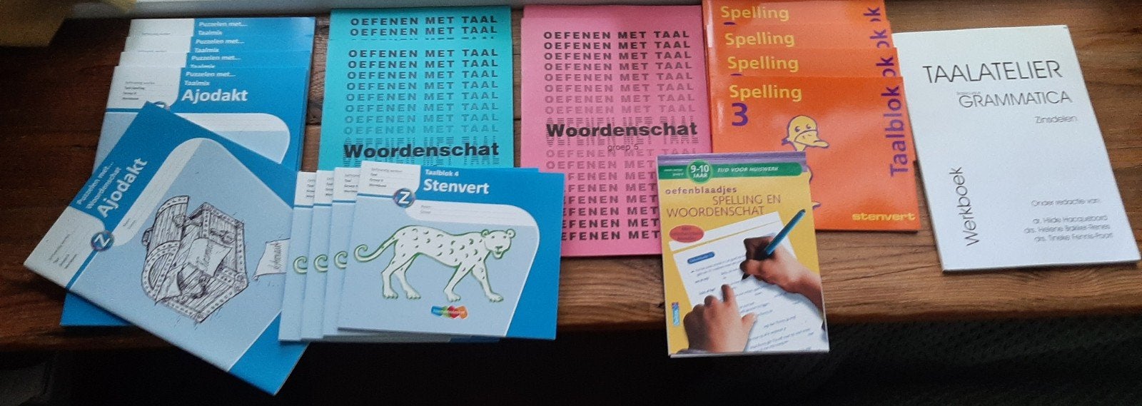 Oefenmateriaal Begrijpend leren lezen Taal Spelling, Boeken, Schoolboeken, Ophalen, Zo goed als nieuw, Overige niveaus, Nederlands