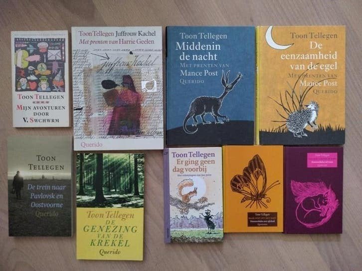 Boeken van de hand van Toon Tellegen, Ophalen of Verzenden, Zo goed als nieuw, Algemeen
