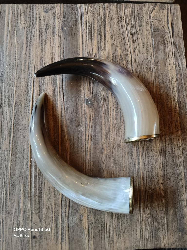 Decoratieve Hoorns - Natuurlijk en Elegant, Ophalen of Verzenden