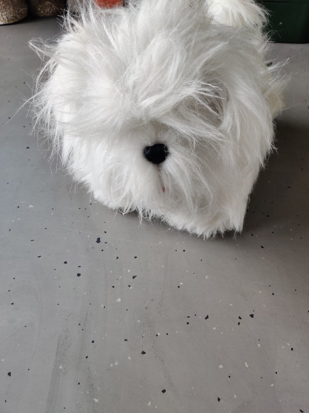 hond, Ophalen of Verzenden