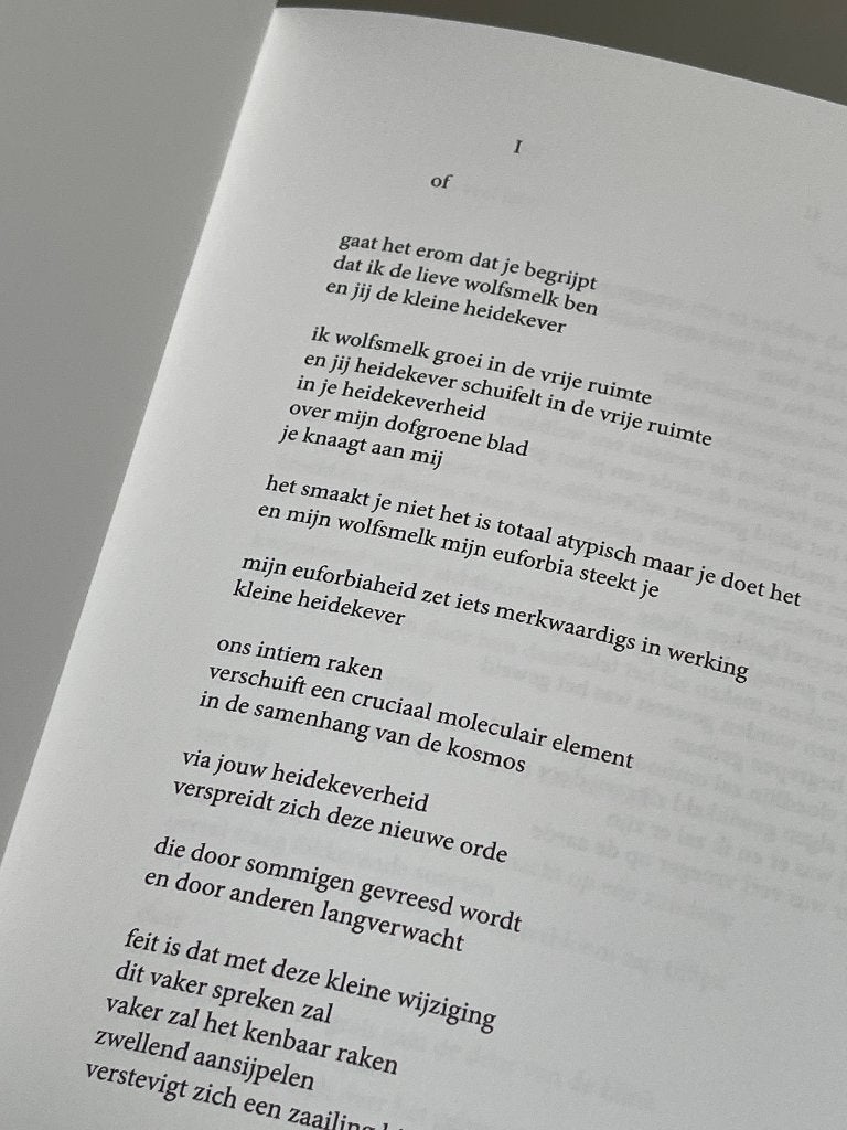 homeland noordholland - Han van Wieringen (poëzie) (2023), Ophalen of Verzenden, Nieuw, Eén auteur