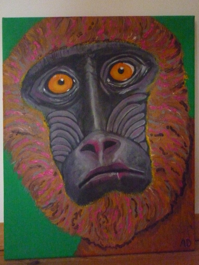 Aap, Acrylverf, Handgeschilderd, Ophalen of Verzenden, Dieren