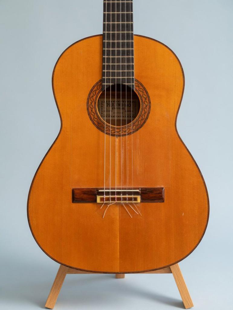 Gerundino Fernández Flamenco gitaar 1972, Ophalen of Verzenden, Zo goed als nieuw, Klassieke of Spaanse gitaar