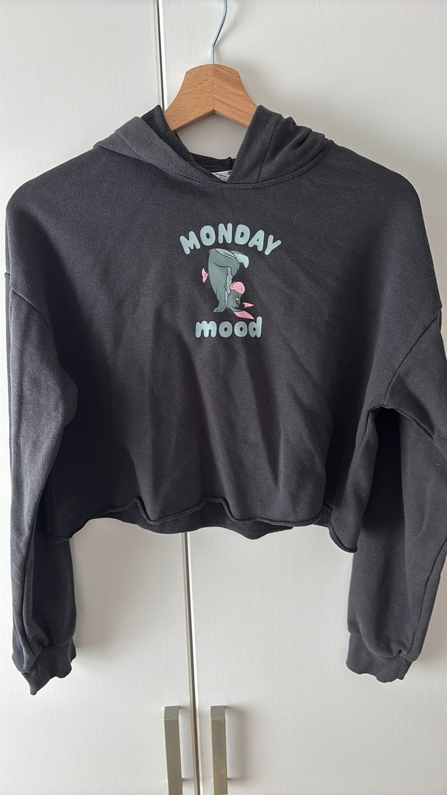 H&M donkergrijze hoody meisjes mt158, Ophalen of Verzenden, Zo goed als nieuw, Meisje, Trui of Vest