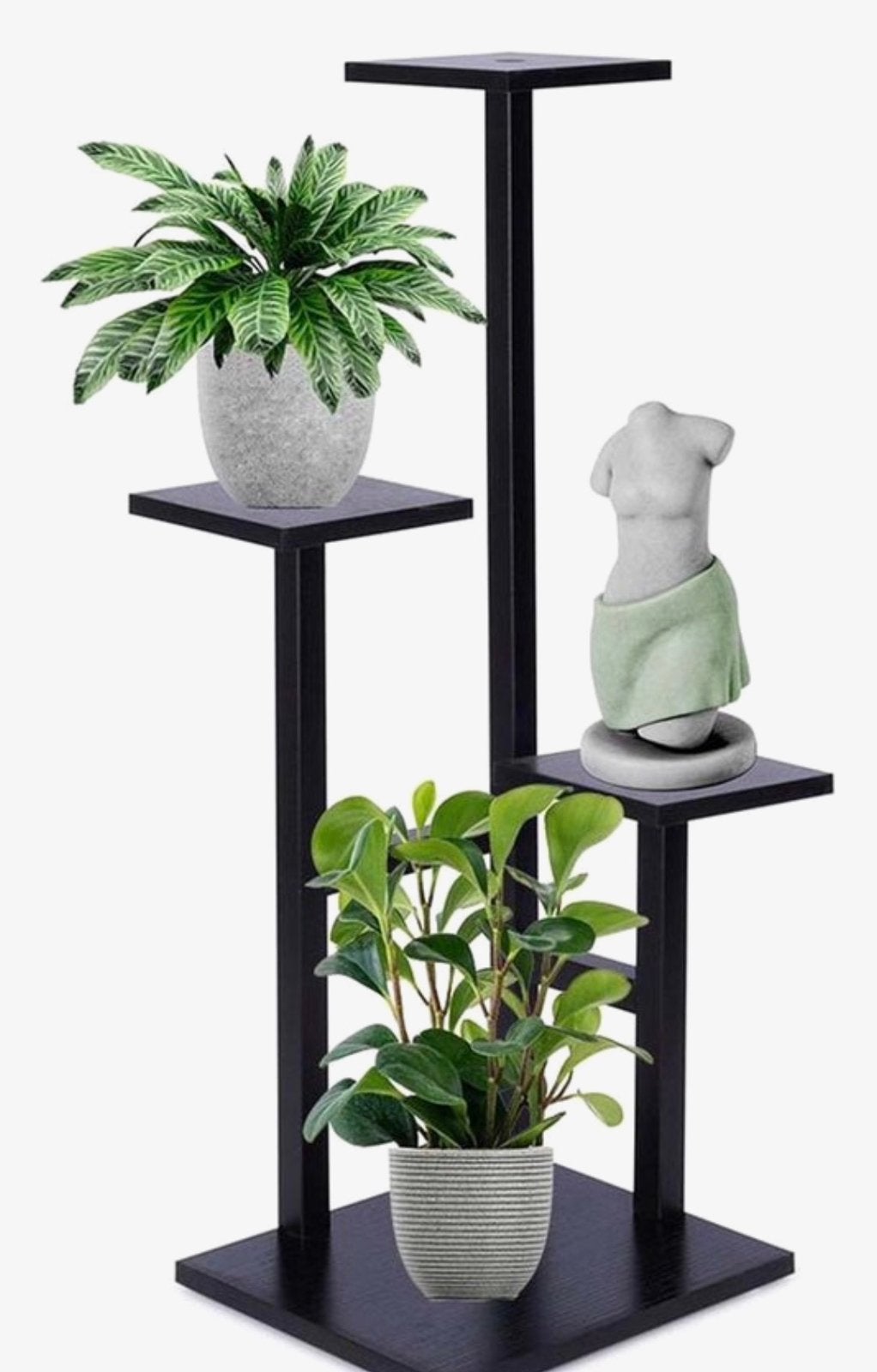 Plantenreek, Huis en Inrichting, Ophalen, 7021br, Nieuw, Sera@live.nl