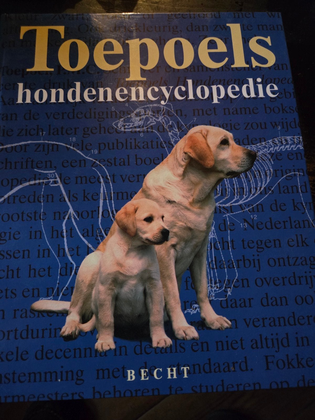 Hondenencyclopedie, Boeken, Ophalen of Verzenden, Zo goed als nieuw, Honden