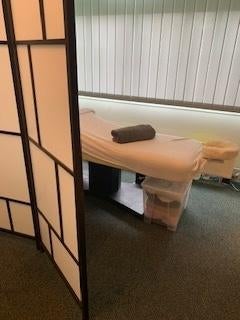 Elektrische massagetafel, Sport en Fitness, Massageproducten, Ophalen, Gebruikt, Massagetafel