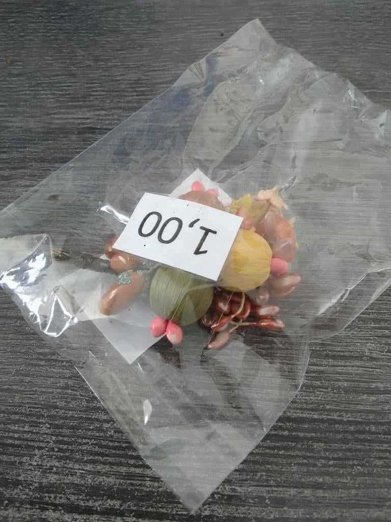 Decoratieve broche met natuurlijke elementen, Ophalen, Overige materialen, Overige kleuren, Minder dan 4 cm
