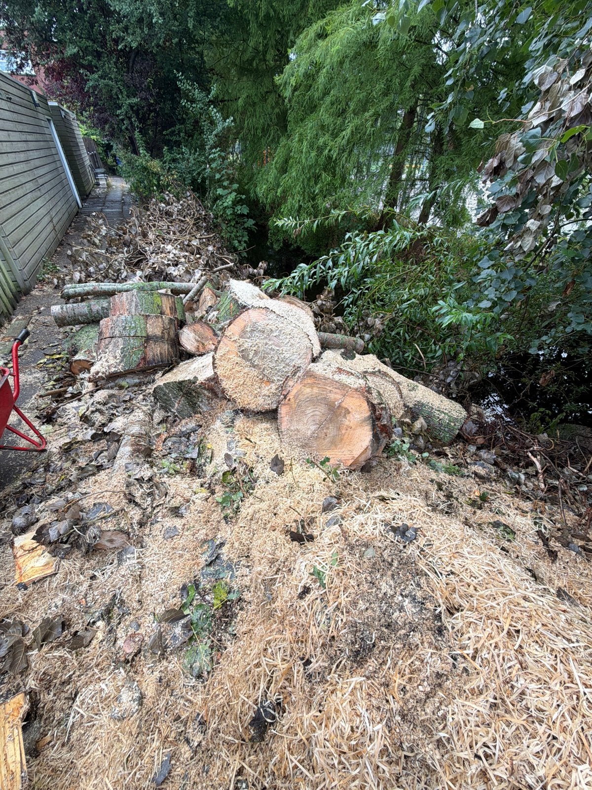 Stammen en blokken hout, diverse houtsoorten, 3 tot 6 m³, Ophalen, Overige houtsoorten, Stammen