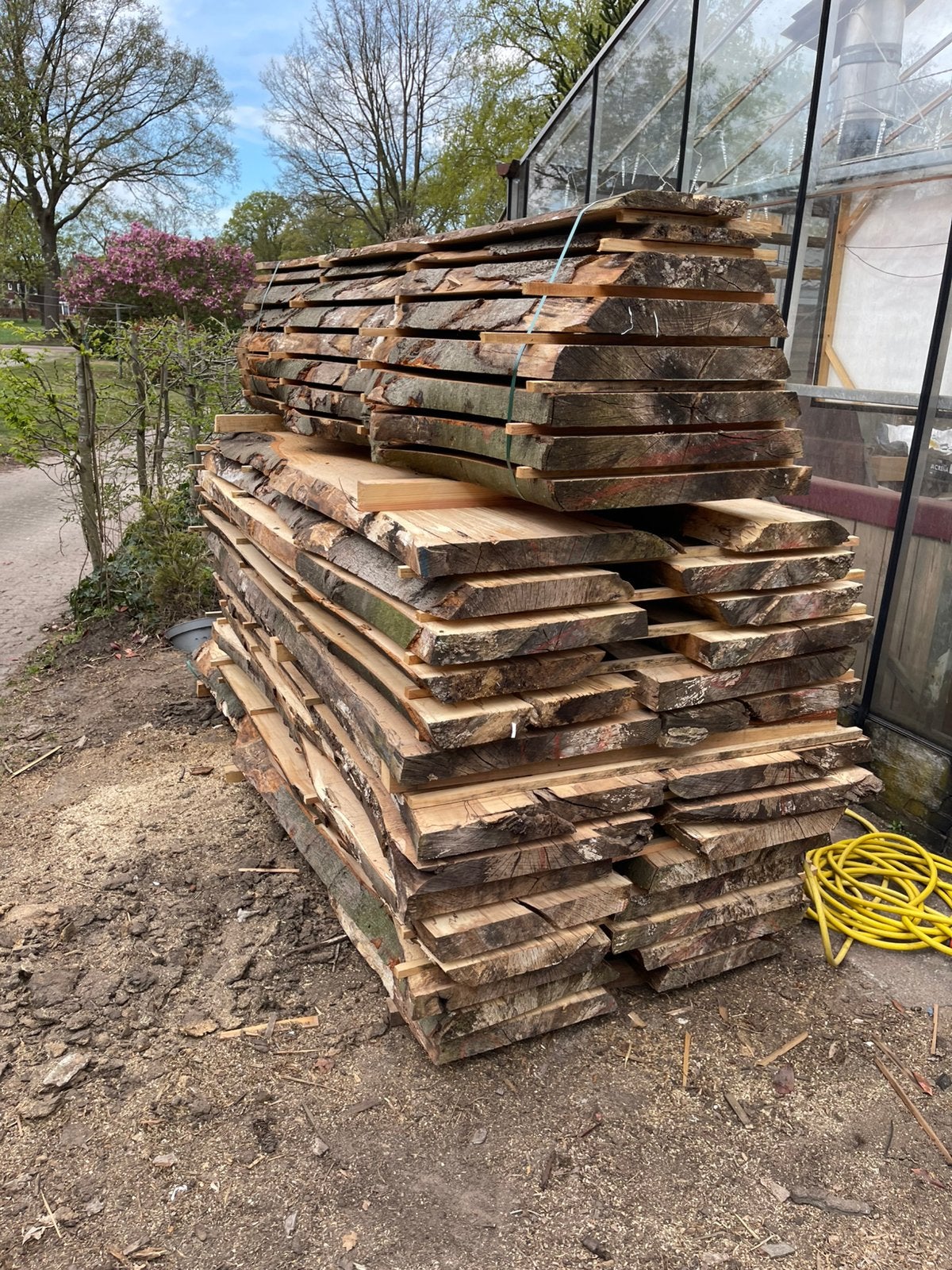 Beukenhouten schaaldelen/planken, 25 tot 50 mm, Nieuw, Ophalen of Verzenden, Plank