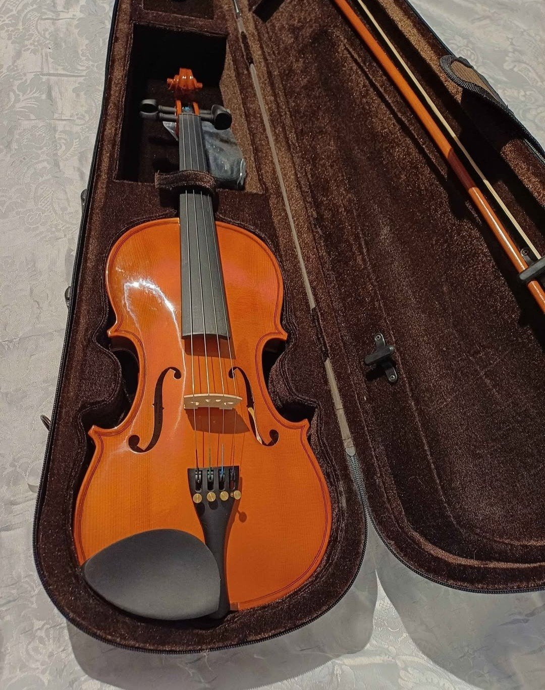 Stentor Viool 4/4 met koffer en 2 boeken, zo goed als nieuw, Muziek en Instrumenten, Viool, Ophalen of Verzenden, Zo goed als nieuw