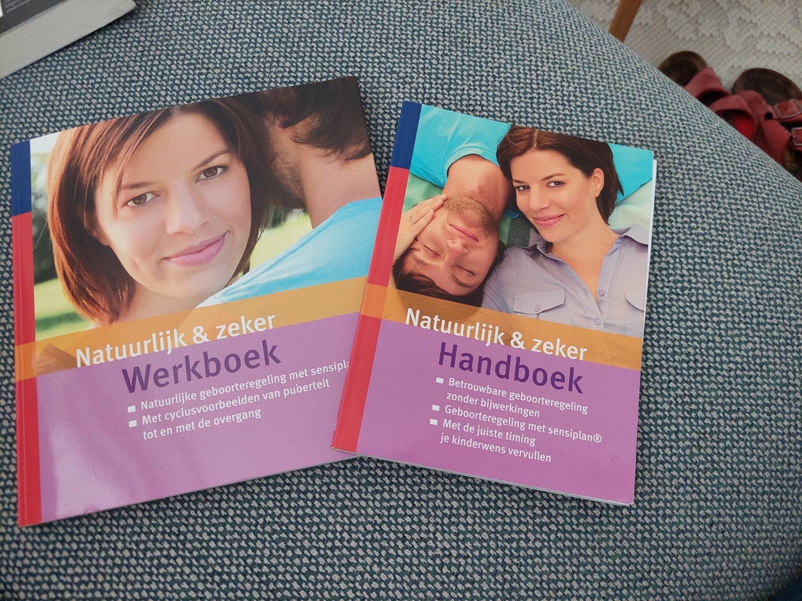 Handboek, Boeken, Ophalen of Verzenden, Zo goed als nieuw, Zwangerschap en Bevalling