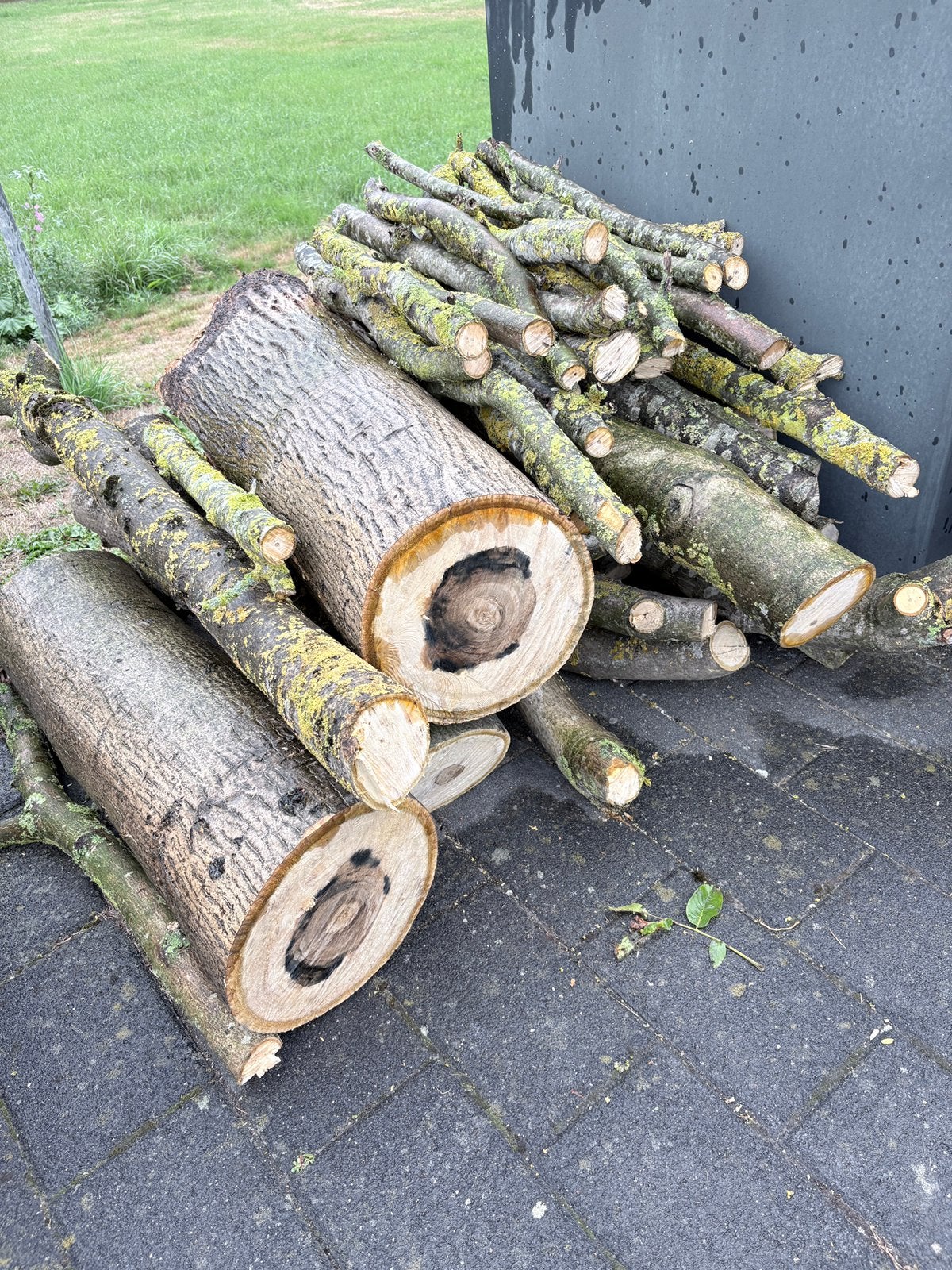 Notenhout, stookhout brandhout, Minder dan 3 m³, Ophalen, Overige houtsoorten, Stammen