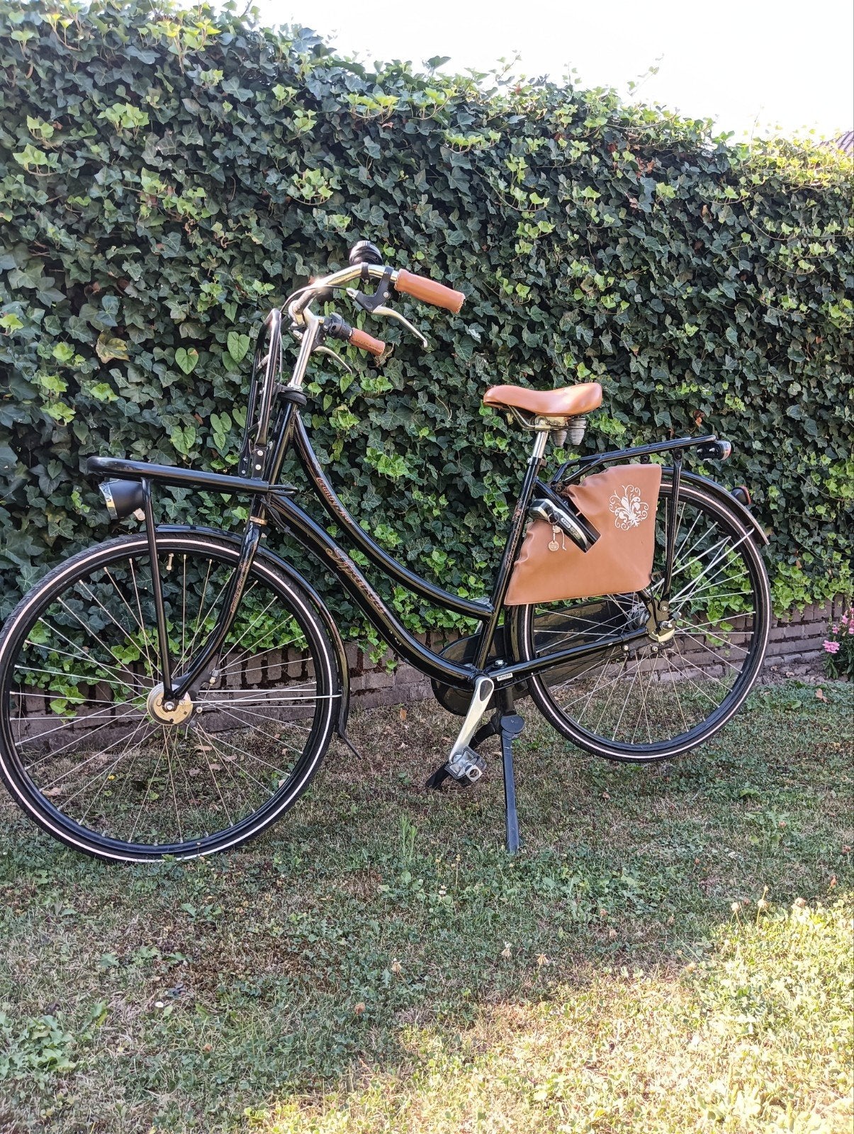Sparta Country Tour Damesfiets met voordrager, Fietsen en Brommers, Ophalen, Terugtraprem, Sparta, 53 tot 56 cm