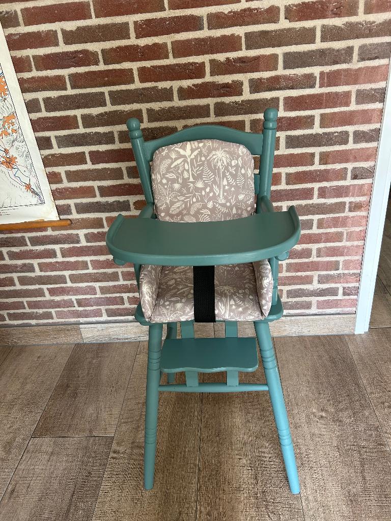 Kinderstoel met stoelverkleiner en veiligheidsgordel, Ophalen, Gebruikt, Overige typen, Gordel(s)