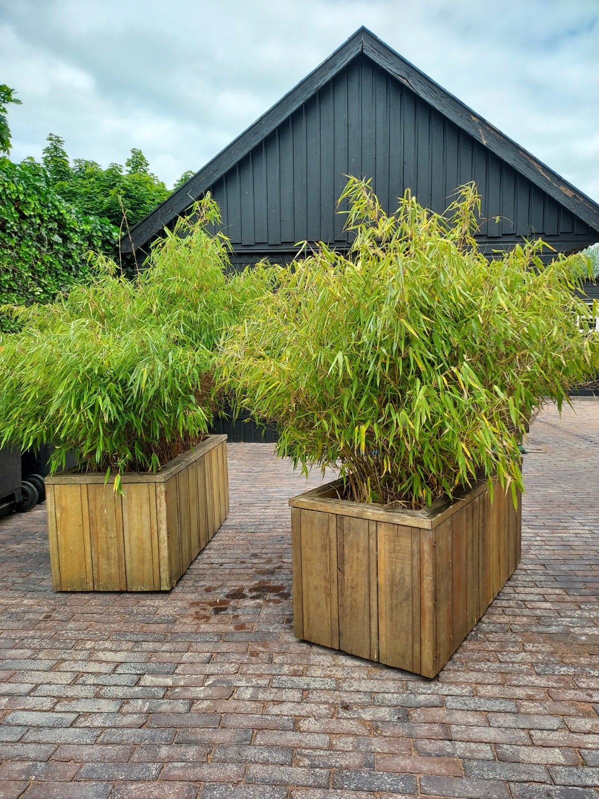Hardhouten  plantenbakken inclusief bamboe, Tuin en Terras, Ophalen, Hout, Minder dan 30 cm