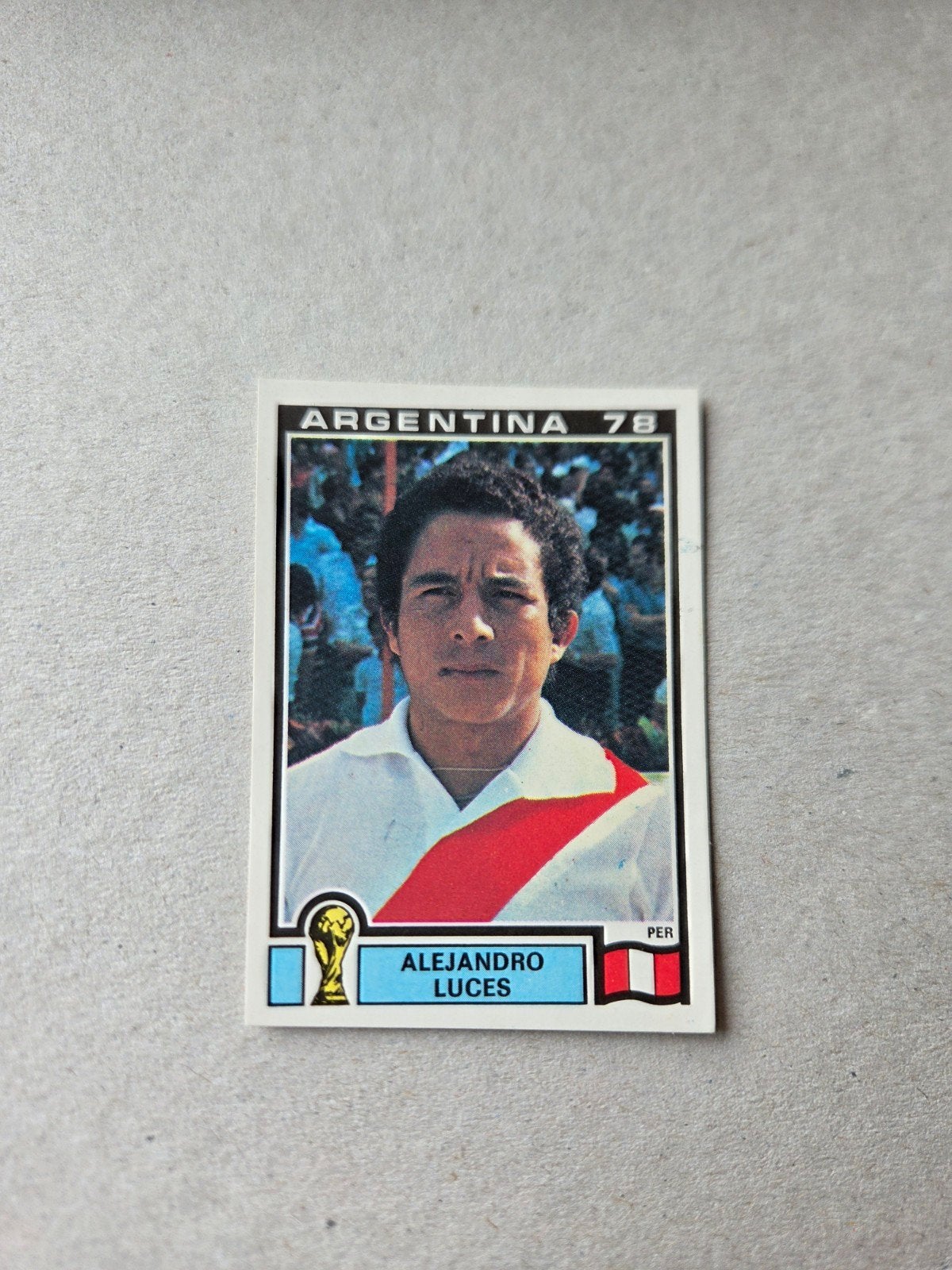 Panini WK 78, Ophalen of Verzenden, Zo goed als nieuw, Buitenlandse clubs, Poster, Plaatje of Sticker