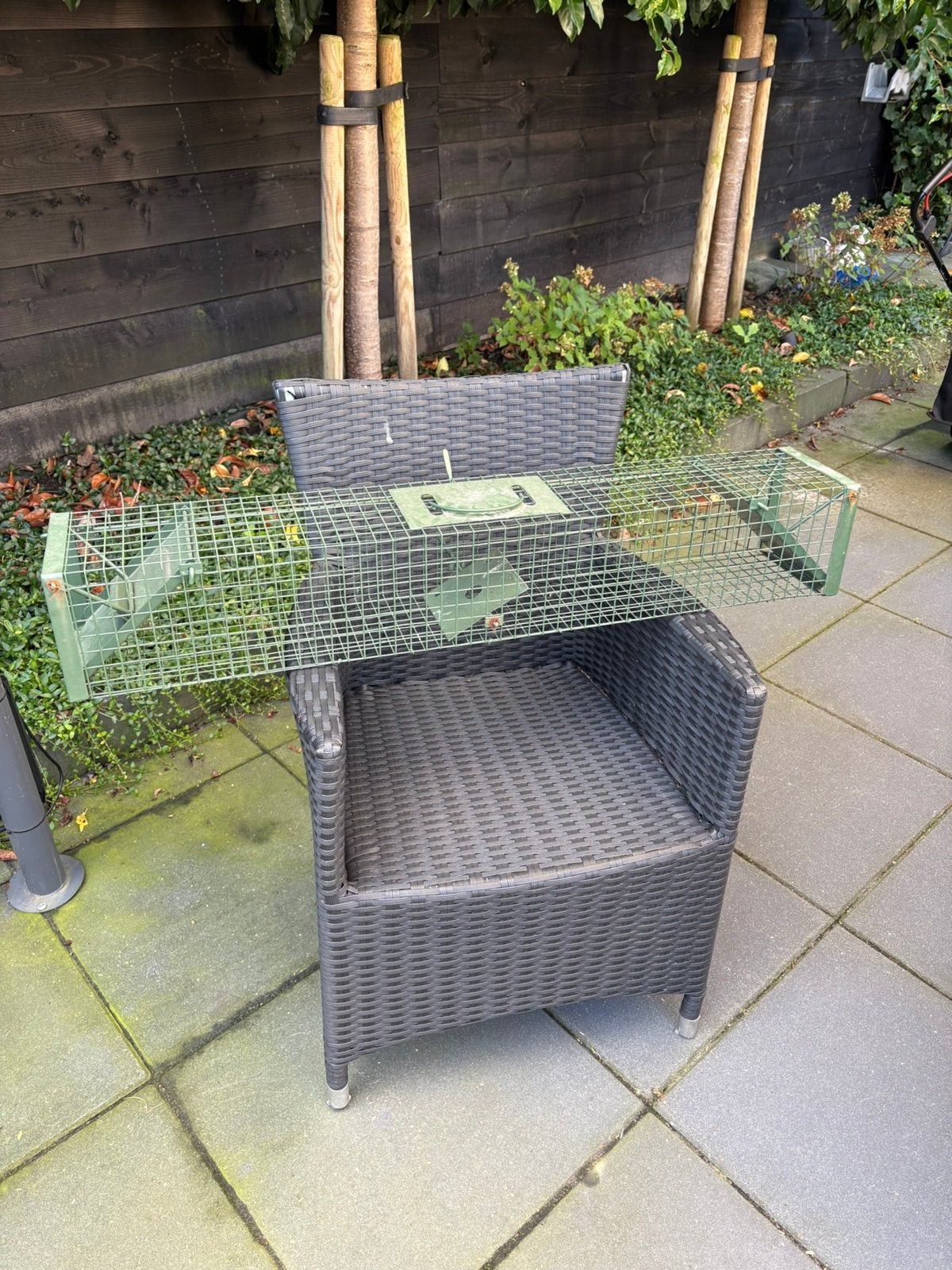 Steenmarter vangkooi, Dieren en Toebehoren, Ophalen, Zo goed als nieuw, Kooi, Minder dan 60 cm
