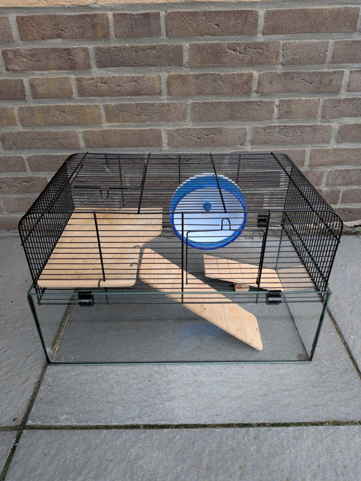 Hamster kooi glas compleet, Dieren en Toebehoren, Minder dan 60 cm, Kooi, Minder dan 75 cm, Ophalen of Verzenden