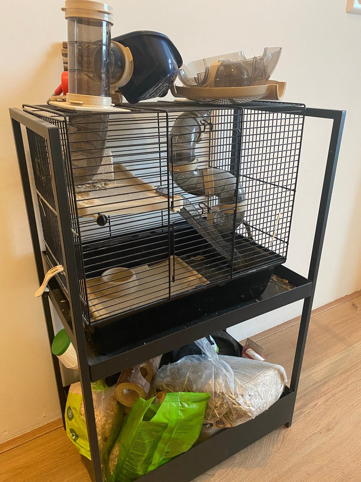 Hamsterkooi/ ophalen amsterdam, Dieren en Toebehoren, Ophalen, Kooi, Gebruikt, 60 tot 90 cm