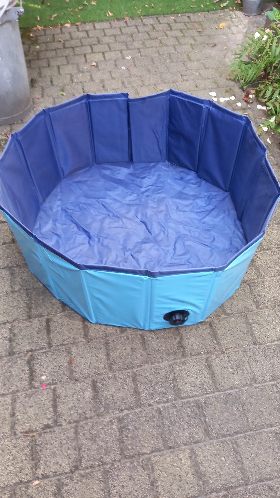 honden zwembad, 75cm, Ophalen of Verzenden, Nieuw