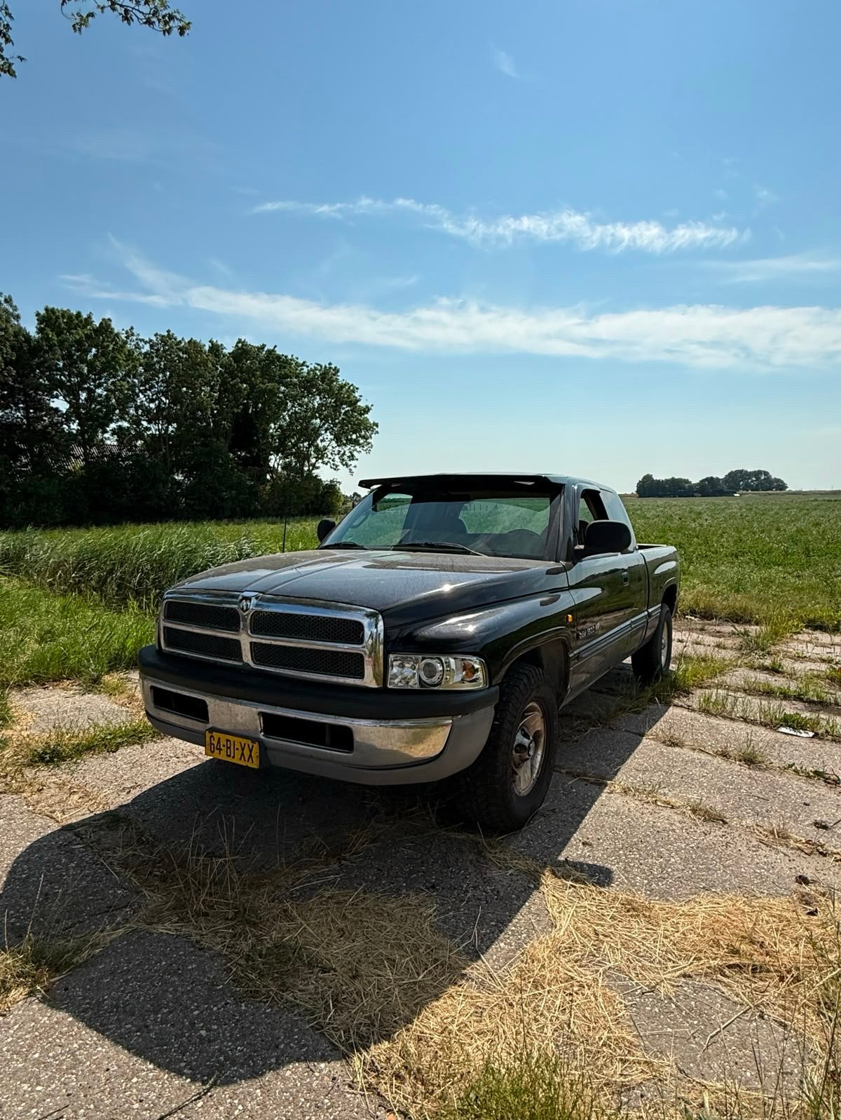 Dodge 1998, Achterwielaandrijving, 700 kg, Zwart, Leder