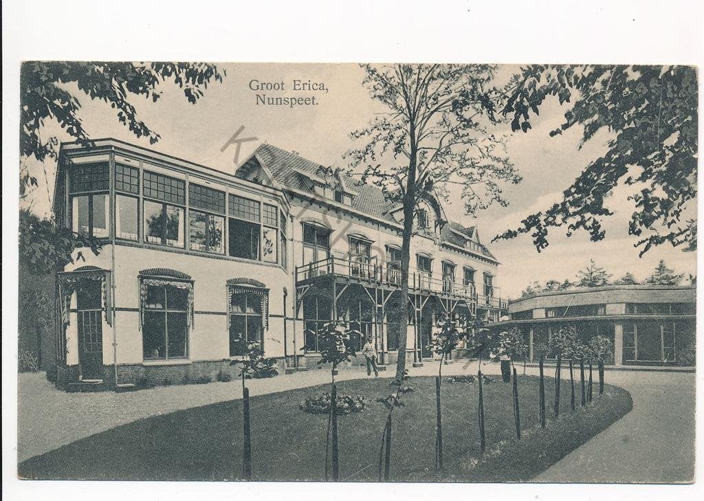 Nunspeet - Groot Erica [003-5652, Verzenden, Voor 1920, Ongelopen, Gelderland
