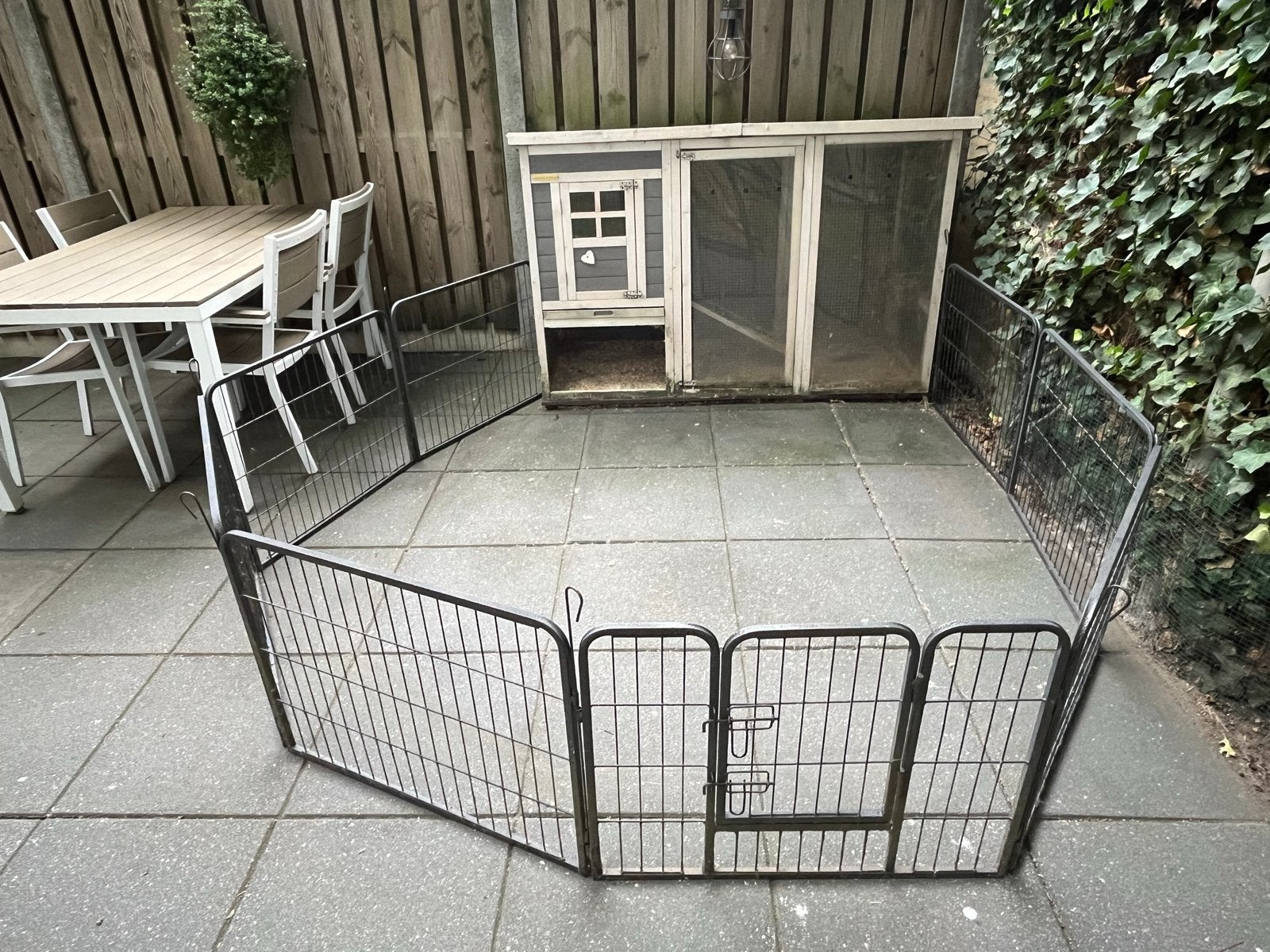 Konijnenhok met robuuste (puppy)ren, Dieren en Toebehoren, Ophalen, 90 cm of meer, Konijn, Hok