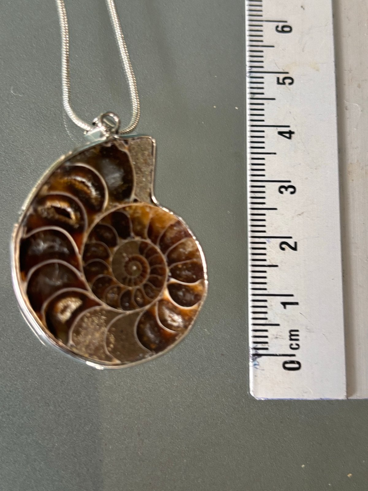 Ammoniet met verzilverde ketting van 60 cm, Sieraden, Tassen en Uiterlijk, Kettingen, Met hanger, Verzenden, Nieuw, Steen of Mineraal