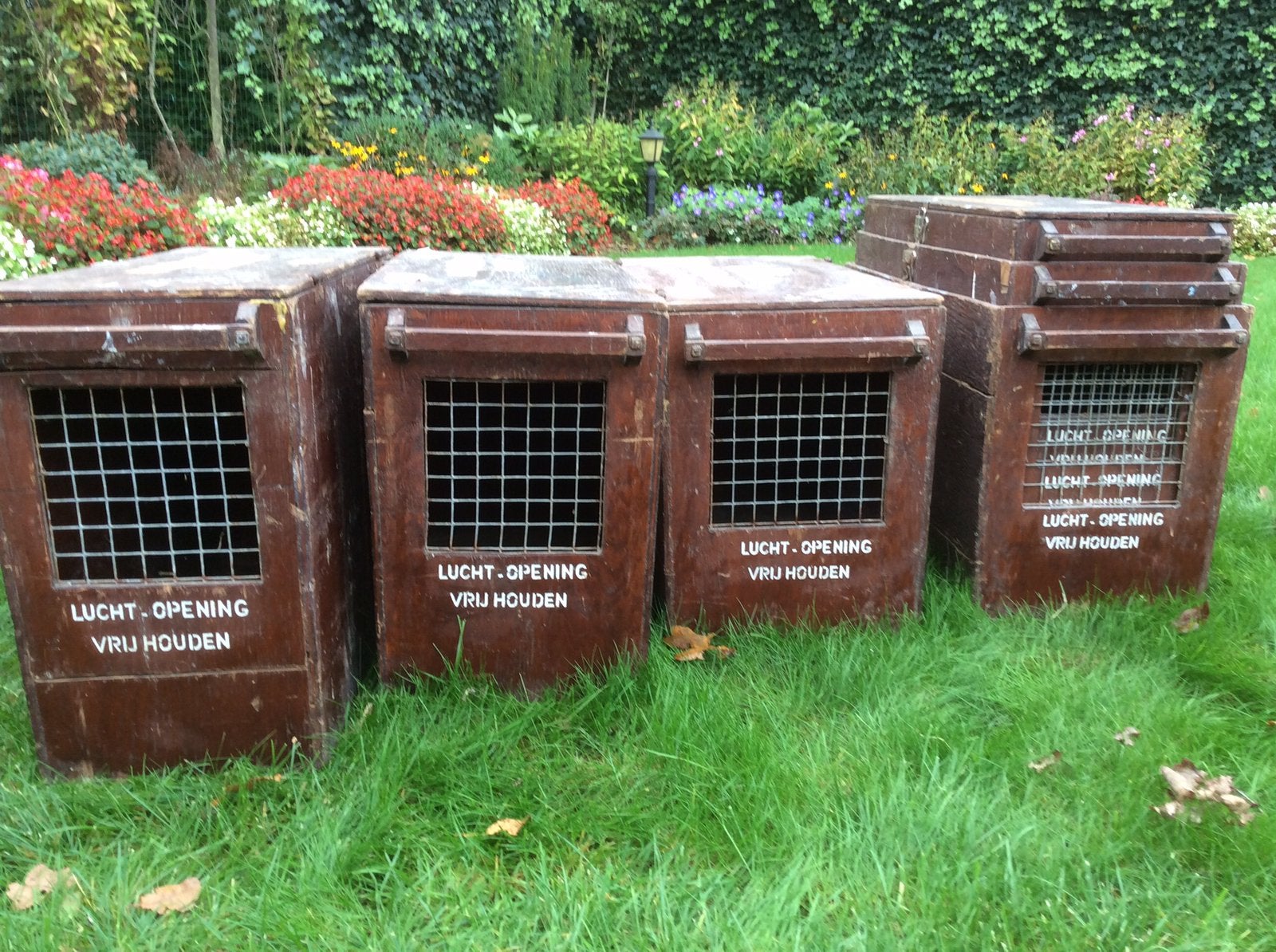 Verzendkisten kleindieren, Dieren en Toebehoren, Ophalen of Verzenden, Zo goed als nieuw