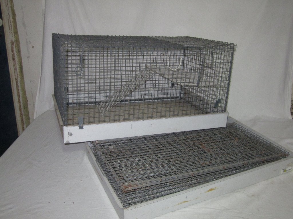 Kooien, Kooi, Gebruikt, Minder dan 75 cm, Hamster