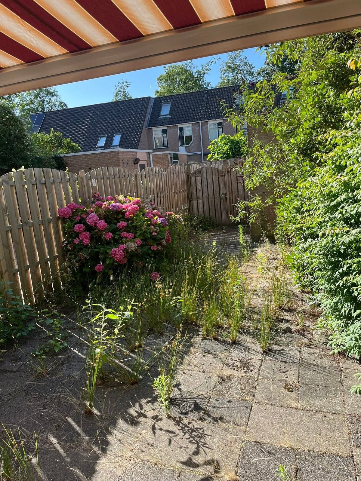 Tuinman / tuinonderhoud, Diensten en Vakmensen