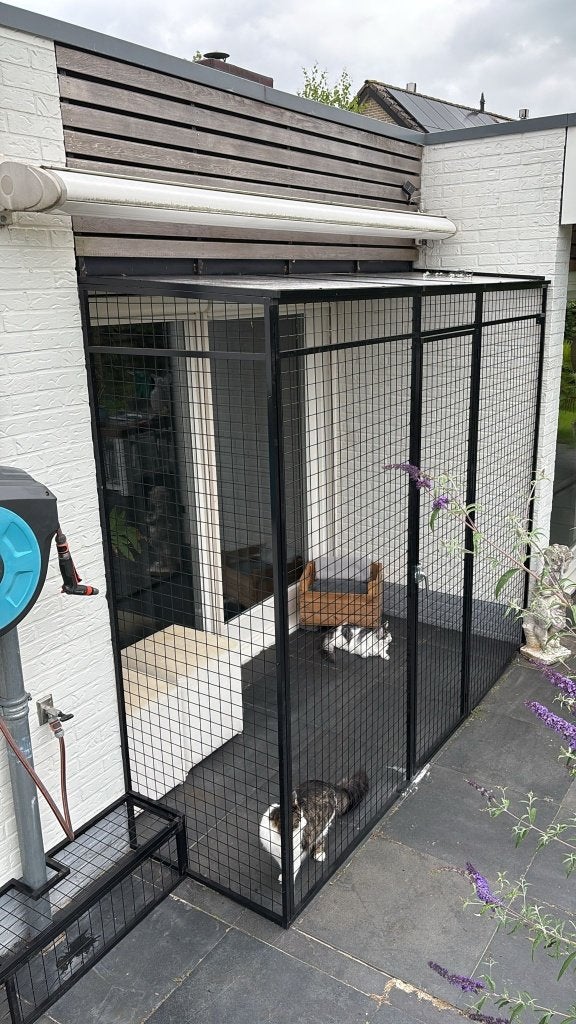 Kattenren Winschoten | Maatwerk | Duurzame materialen, Ophalen of Verzenden, Nieuw