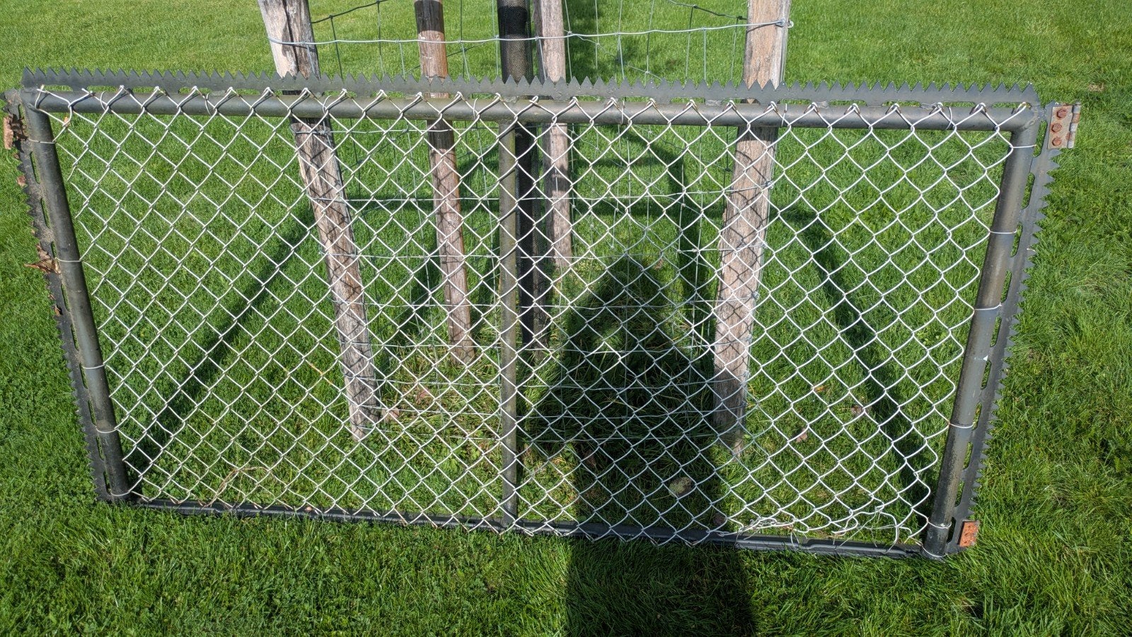 IJzeren toegangshek 2m x 1m, Tuin en Terras, Ophalen, Met poort, Gebruikt, Tuinhek