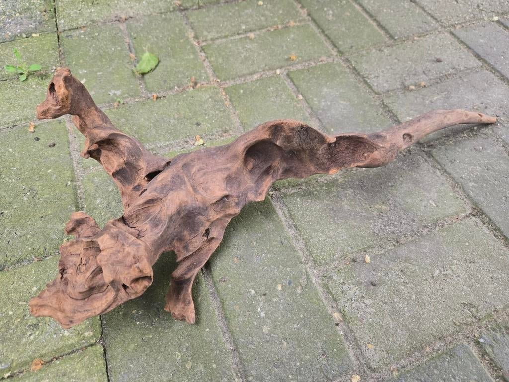 Uniek drijfhout sculptuur - Natuurlijke kunst, Dieren en Toebehoren, Ophalen of Verzenden