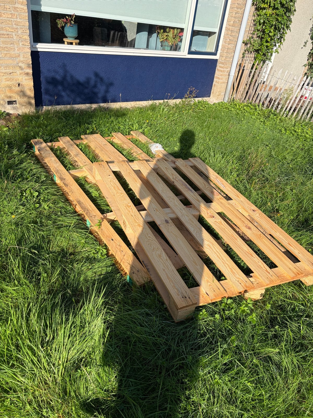 2 pallets, Ophalen, Gebruikt, 200 tot 250 cm, 50 mm of meer