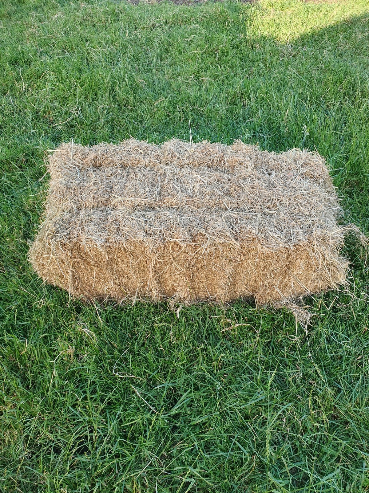 Hooi baaltjes 5€, Dieren en Toebehoren, Dierenvoeding, Ophalen, Vee