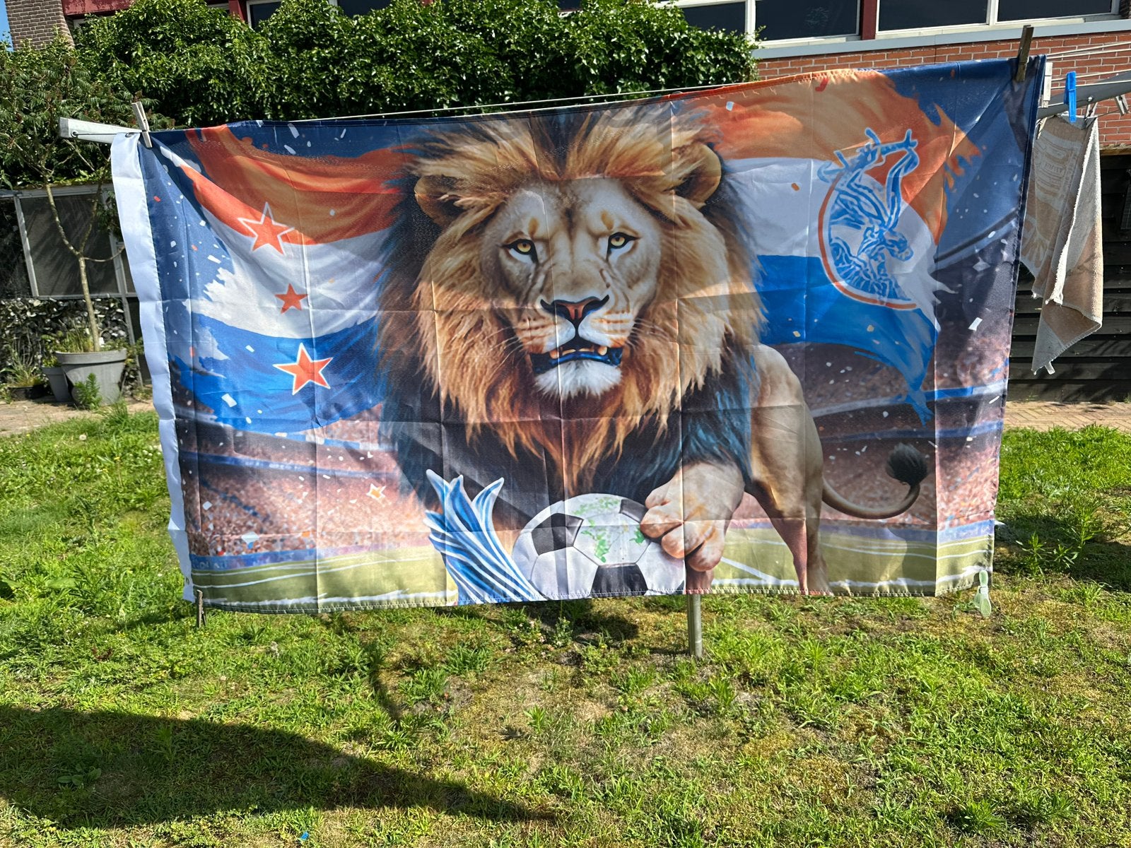 ned leeuw met voetbal in nederlandse vlag, Ophalen of Verzenden, Nieuw