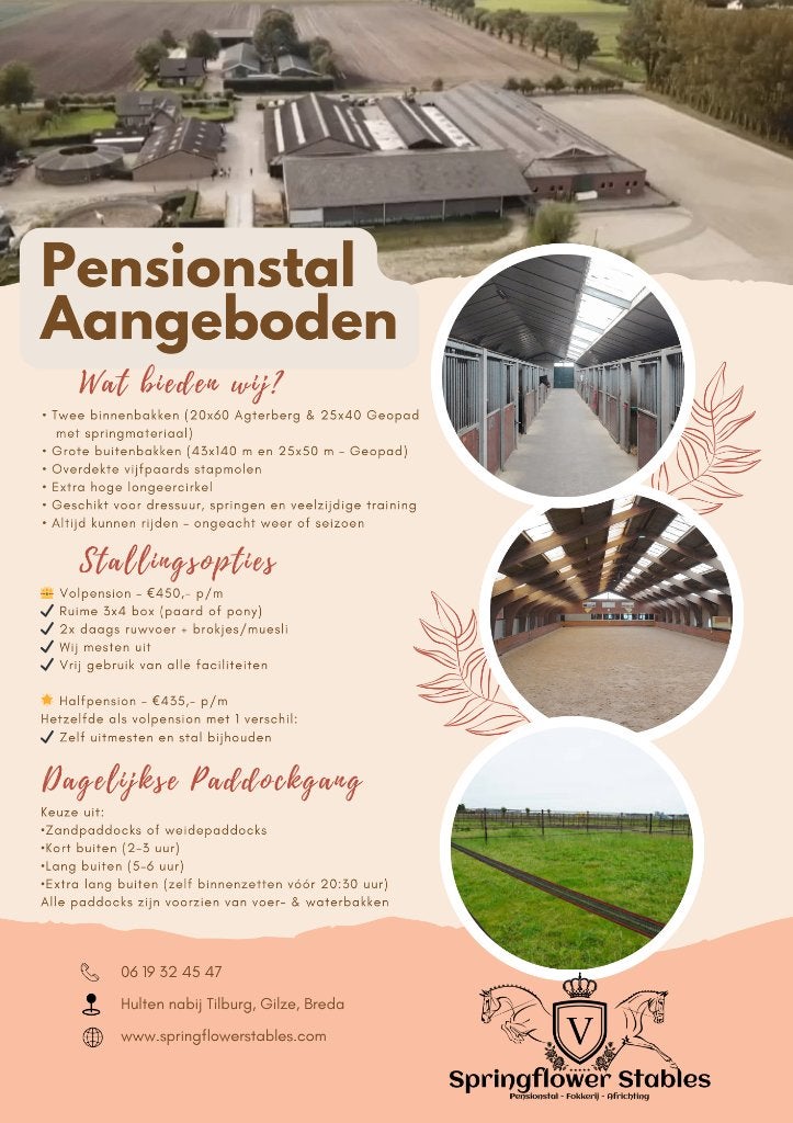 pensionstal aangeboden - stalling vrij nabij Tilburg/Breda, Stalling, 4 paarden of pony's of meer