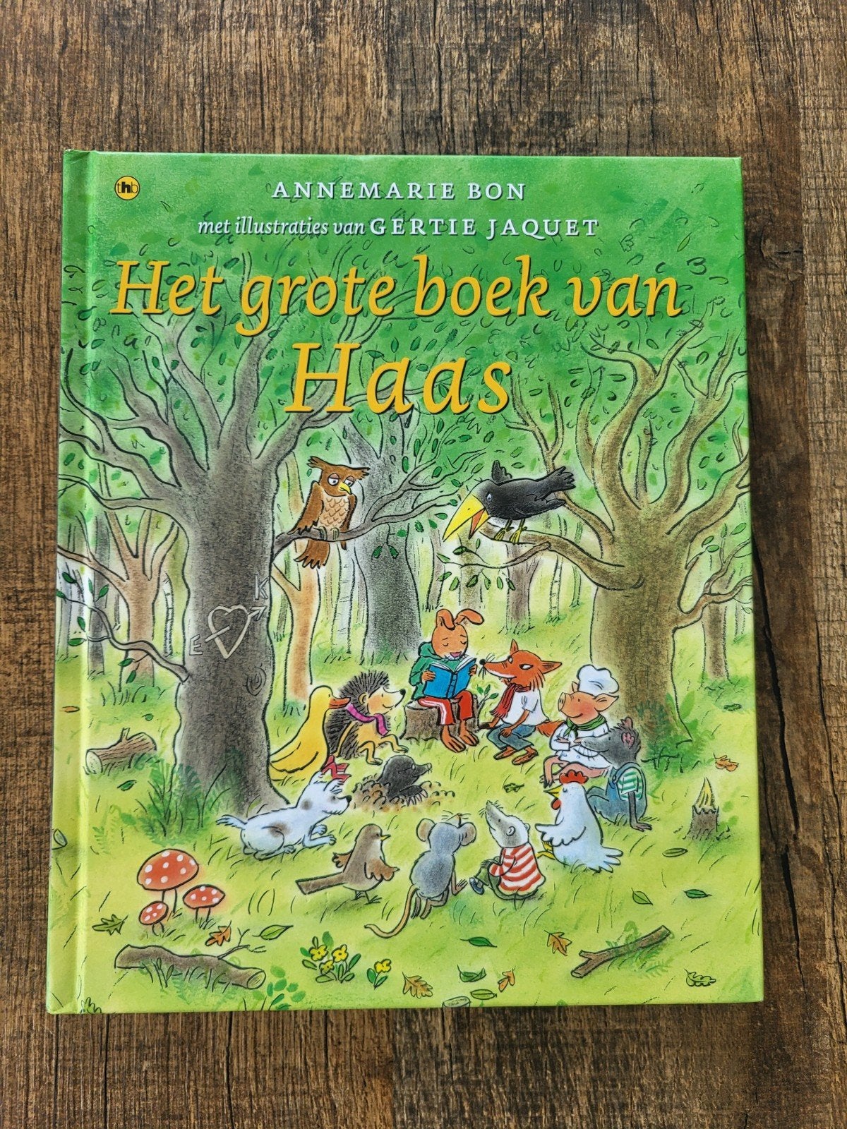 Annemarie Bon - Het grote boek van Haas, Boeken, Fictie algemeen, Ophalen of Verzenden, Zo goed als nieuw, Annemarie Bon