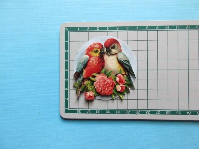 y671 Vogels, Verzenden, Nieuw, Dieren, Overige typen